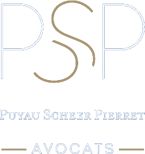 Logo PSP